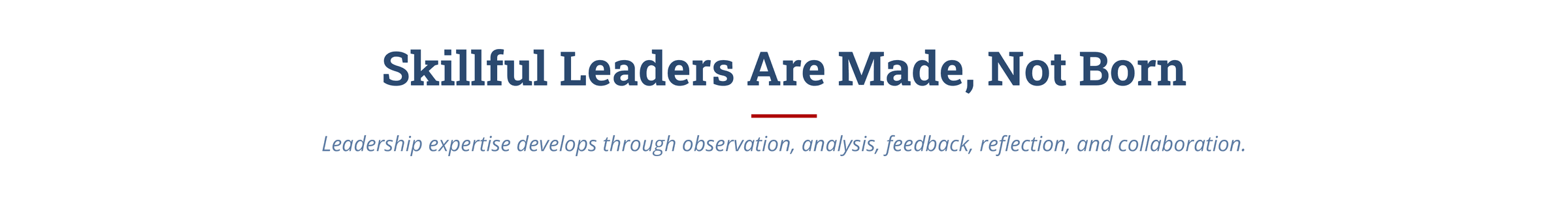 rbt_skillful_leaders_banner_white.png